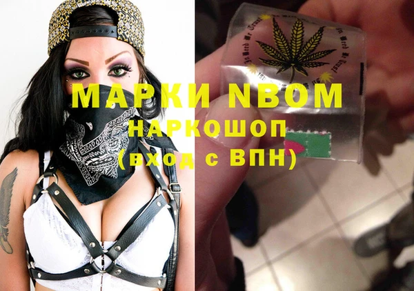 мдпв Верхний Тагил