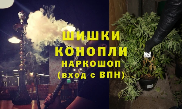 мдпв Верхний Тагил