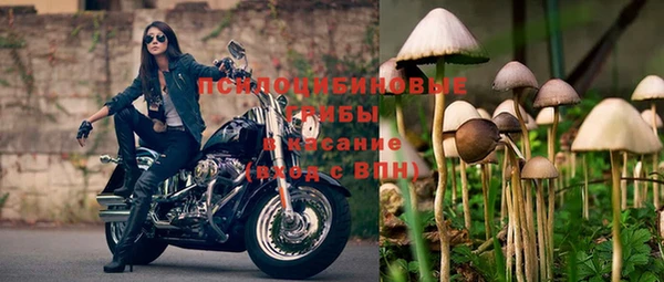 стаф Володарск