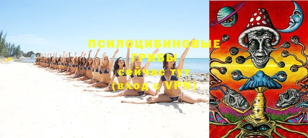 мдпв Верхний Тагил