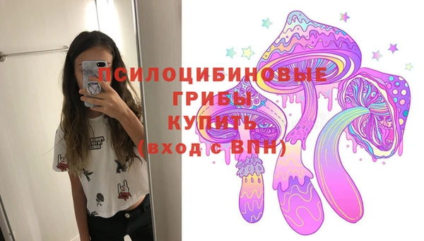 мдпв Верхний Тагил