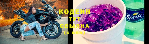 дмт Бородино