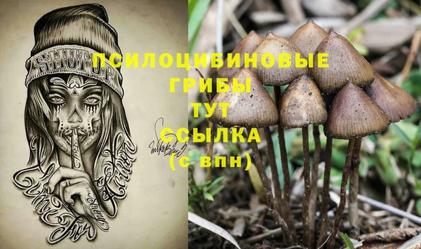 дживик Верея
