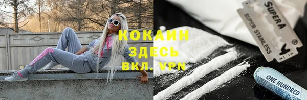дживик Верея
