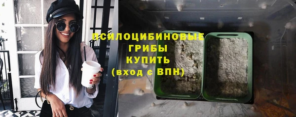 мдпв Верхний Тагил