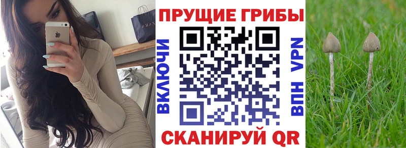 Галлюциногенные грибы Magic Shrooms  Кедровый 