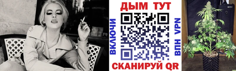 блэк спрут сайт  Кедровый  shop наркотические препараты  Бошки марихуана конопля 